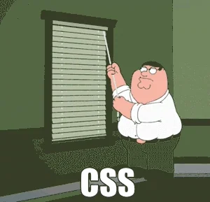 stuggle with html css