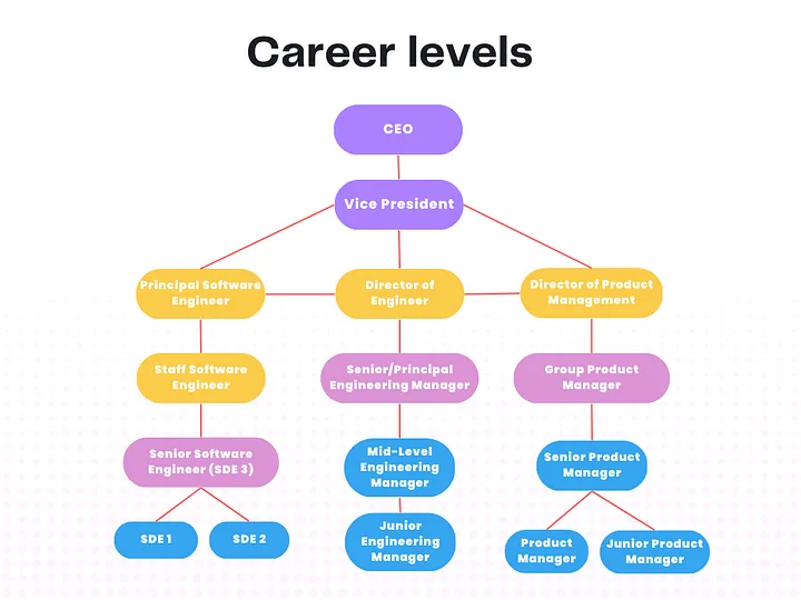 Decoding career level in software engineering